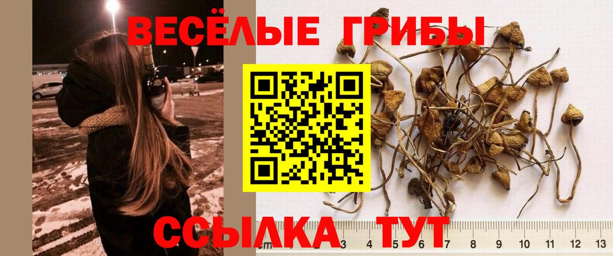 Красноармейск  Псилоцибиновые грибы Magic Shrooms  Вход с VPN 