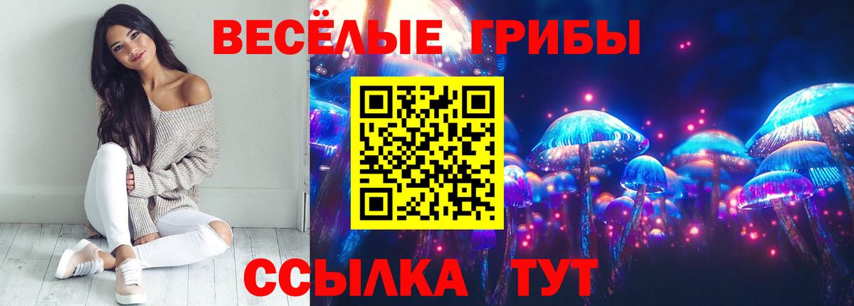 Псилоцибиновые грибы мухоморы Красноармейск